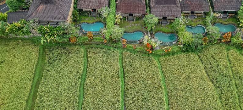 木质加内卡别墅by GenuineHost(Wooden Ganeca Villas by GenuineHost)图片