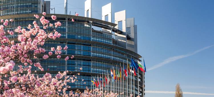 迪斯特别墅贝斯特韦斯特优质酒店(Best Western Plus Hotel Villa D'est)图片