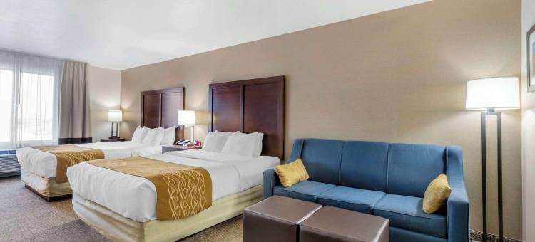 舒适酒店及套房米切尔I-90(Comfort Inn & Suites Mitchell I-90)图片