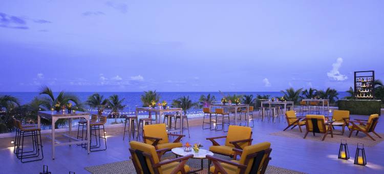 坎昆里维埃拉现在自然酒店(Dreams Natura Resort and Spa)图片
