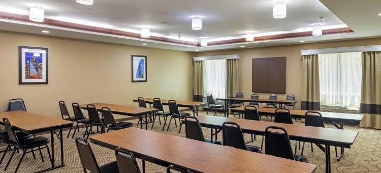 舒适套房酒店-达拉斯北(Comfort Suites North Dallas)图片