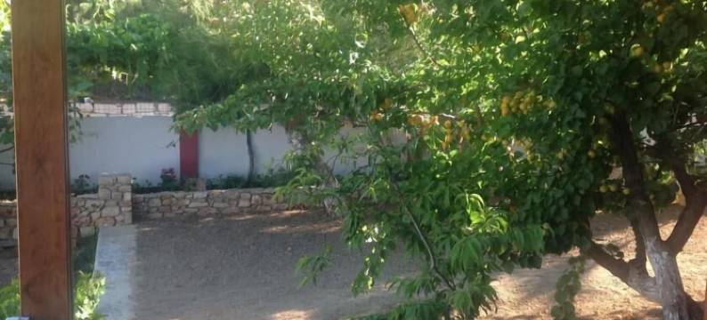 佩特拉海滩度假村(Hotel Petras Beach)图片