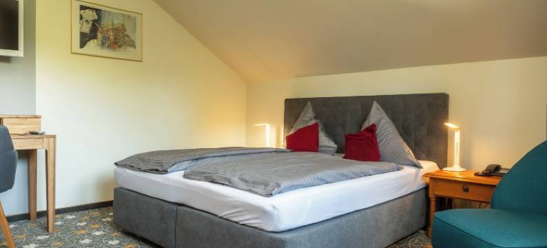 安乔餐厅酒店(Hotel Restaurant Ancho)图片