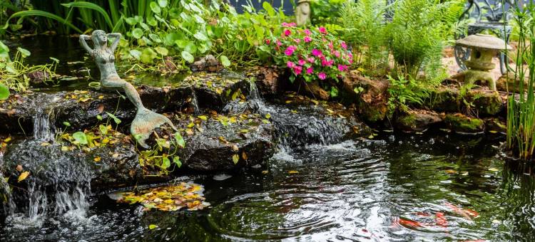 肯尼迪庄园民宿(Kennedy Manor B&B)图片