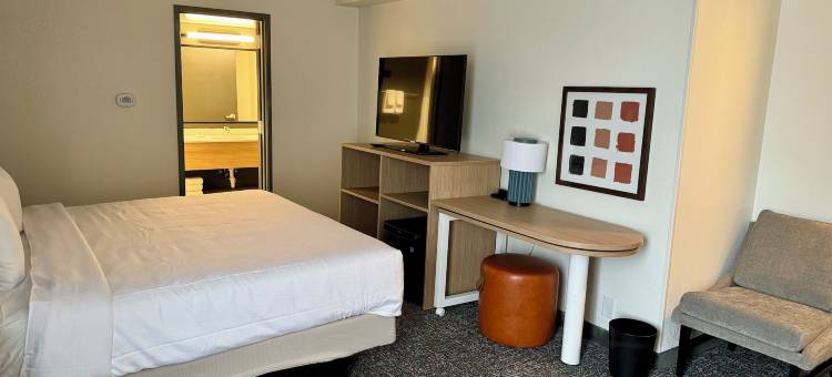 杰克逊里奇兰希尔顿spark酒店(Spark by Hilton Jackson Ridgeland)图片