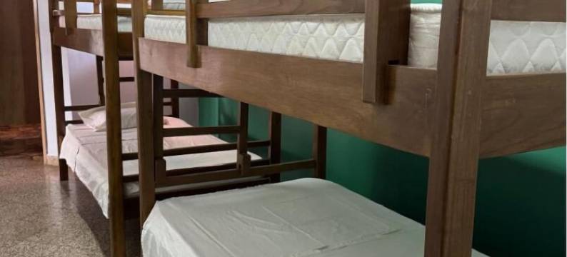 特科艺术旅舍和酒吧(Teko Arte Hostel & Bar)图片