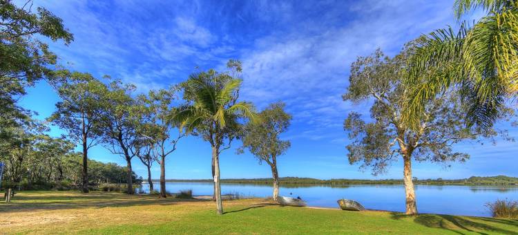 考拉海岸史蒂芬斯港假日公园营地(Koala Shores Holiday Park)图片