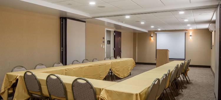 舒适酒店(Comfort Inn)图片