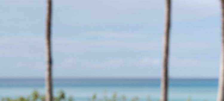 马尔代夫 SO/ 酒店(SO/ Maldives)图片