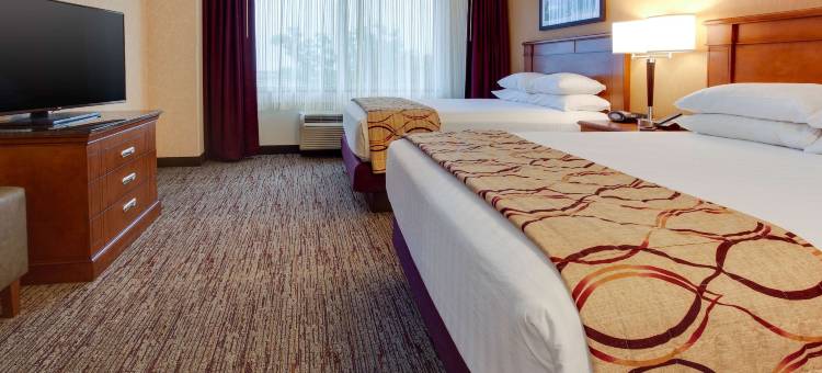 特鲁里街西德梅茵套房酒店(Drury Inn & Suites West des Moines)图片