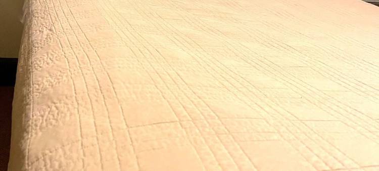 绿洲长期住宿酒店(The Oasis Extended Stay)图片