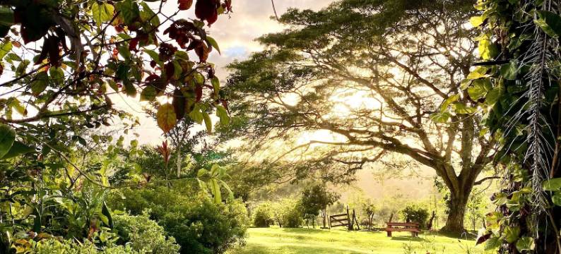 纳比图尼奇旅馆(Nabitunich)图片