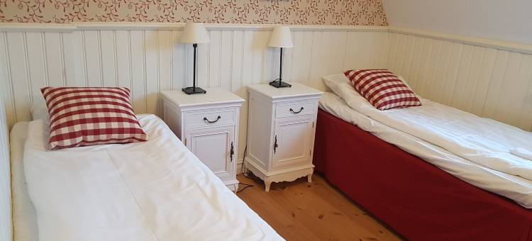 爱娜佛朔乐姆高山酒店(Enaforsholm Fjällgård)图片