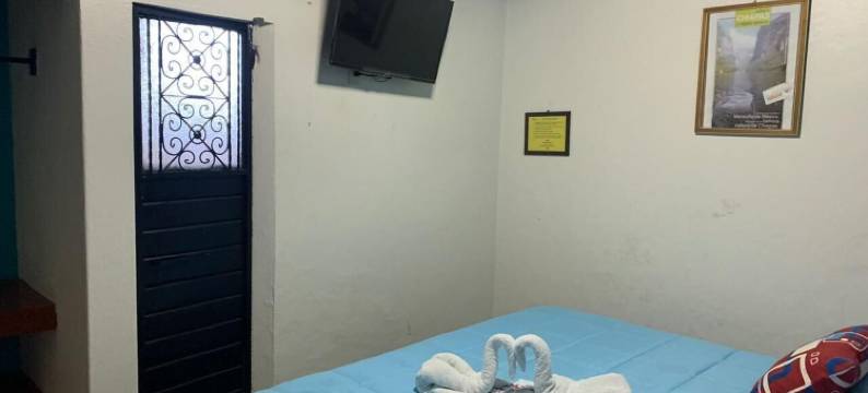 科拉斯克考乐尼奥酒店(Hotel Clasico Colonial)图片