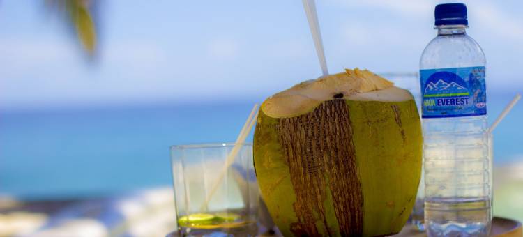 巴拉奥纳卡萨德尔马山林小屋(Casa del Mar Lodge Barahona)图片