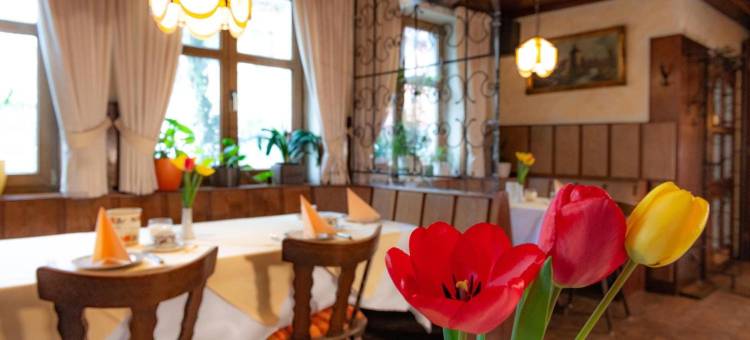 加尼金天鹅酒店(Goldener Schwan Hotel Garni)图片