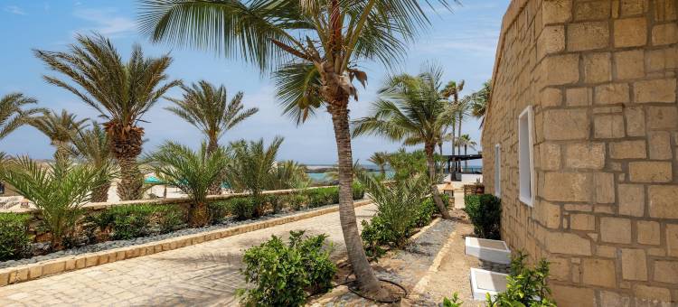 巴塞罗海洋 博阿维斯塔 - 限成人(Barceló Marine Boa Vista - Adults Only)图片