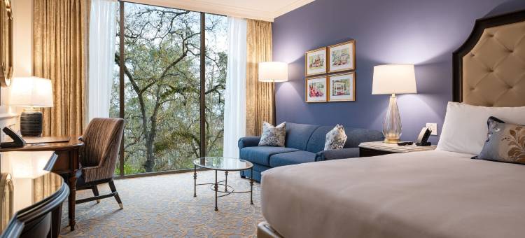 休斯顿俱乐部SPA酒店(The Houstonian Hotel, Club & Spa)图片