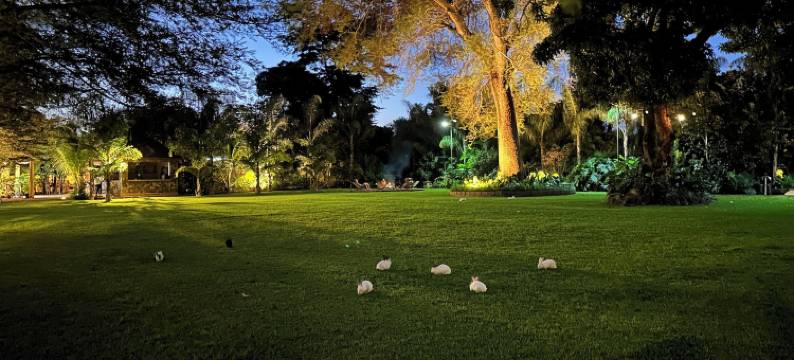 图利武基里马纳罗返乡(Tulivu Kilimanjaro Retreat)图片