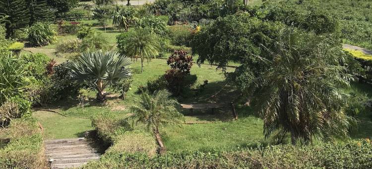 台东愿井民宿图片