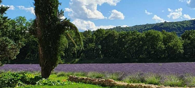 马斯莱斯伊许雷特民宿(Mas les Echelettes)图片