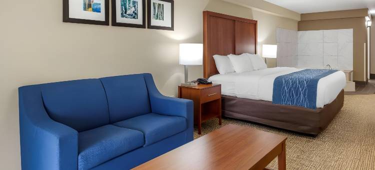 春之湖 - 费耶特维尔自由堡附近舒适套房酒店(Comfort Inn & Quality Suites)图片