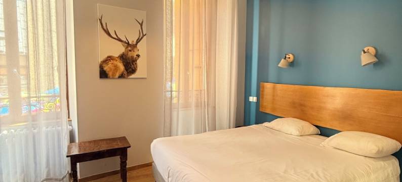 阿尔卑斯酒店(Hotel des Alpes)图片