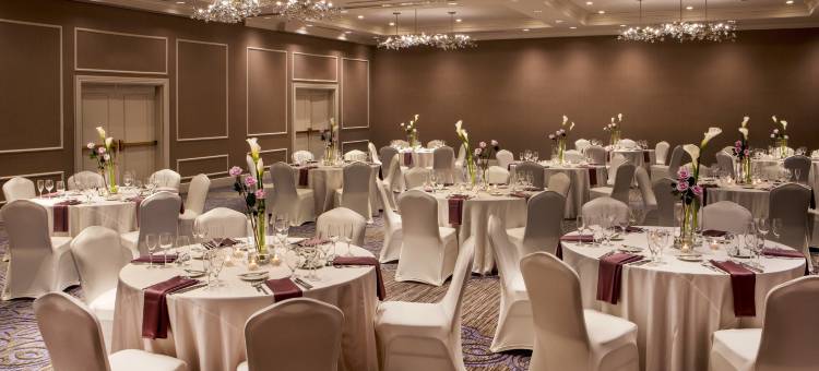 威尔明顿/克里斯蒂安娜希尔顿酒店(Hilton Wilmington Christiana)图片