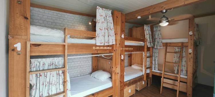 蓝窗青年旅舍(La Ventana Azul Surf Hostel)图片