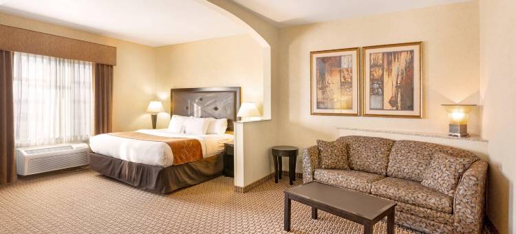 摩塞斯莱克舒适套房酒店(Comfort Suites Moses Lake)图片