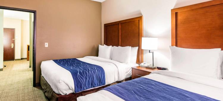 IAH布什机场-东舒适套房酒店(Comfort Inn & Suites IAH Bush Airport - East)图片