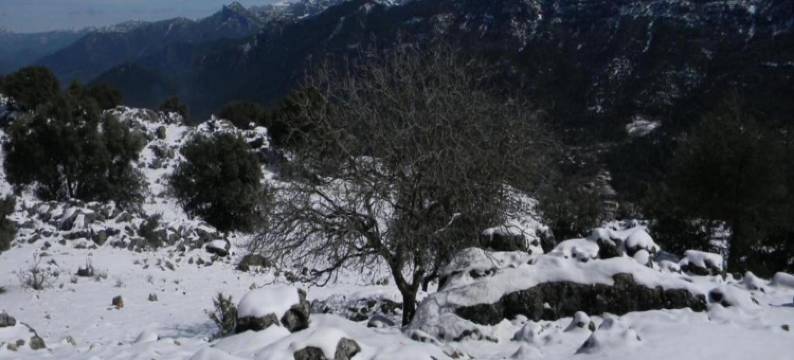Farmhouse in Andalusia near Tiñosa Peak图片