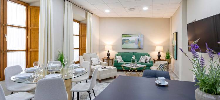 科尔多瓦滕迪利亚斯广场独享公寓II(Exclusive Apt in Cordoba. Plaza de las Tendillas II)图片