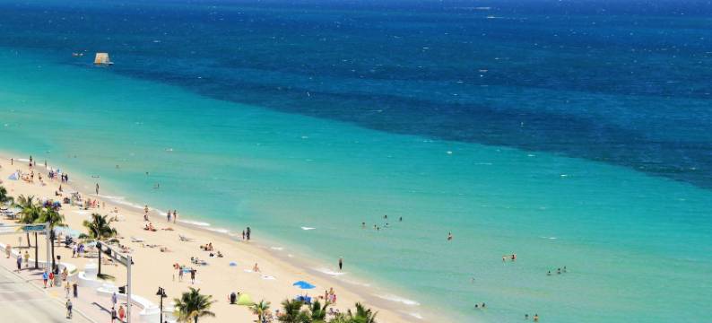 威尔顿庄园旅馆(Wilton Manors Guesthouse)图片