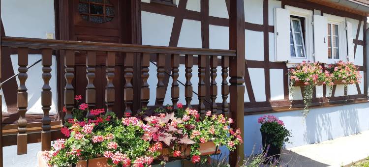 Holiday Home Alsace near Vosges Nature Park图片