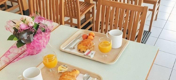 塞祖尔阿菲尔图尔伦纳德达芬奇酒店(Séjours & Affaires Tours Léonard de Vinci)图片