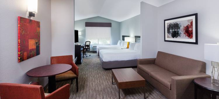 智选假日套房酒店什里夫波特南园广场(Holiday Inn Express & Suites Shreveport South - Park Plaza)图片