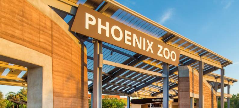 凤凰城机场北智选假日套房(Holiday Inn Express & Suites PHOENIX - AIRPORT NORTH by IHG)图片