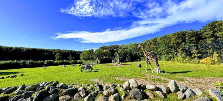 奥尔堡四星级度假屋(4 star holiday home in Aalborg)图片