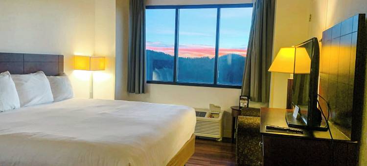尤尼科伊州立公园及旅馆(Unicoi State Park & Lodge)图片