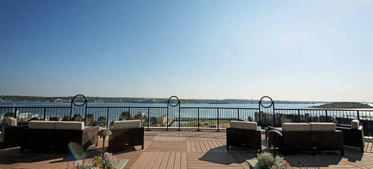 哈里法克斯市中心万豪万怡酒店(Courtyard Halifax Downtown)图片