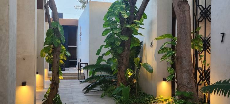 约瑟芬娜之家(Casa Josefina)图片
