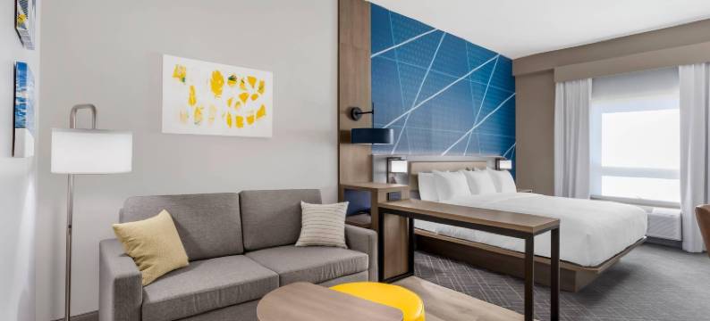 中央谷伍德伯里舒适套房酒店(Comfort Suites Central Valley)图片