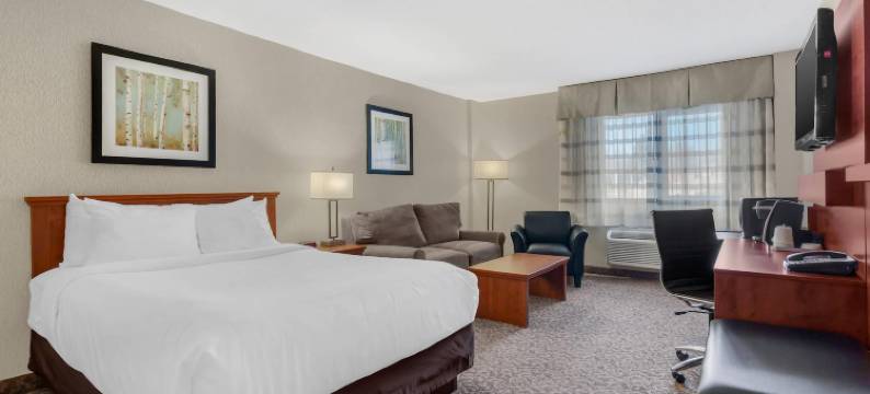 克拉丽奥套房酒店(Clarion Hotel & Suites)图片