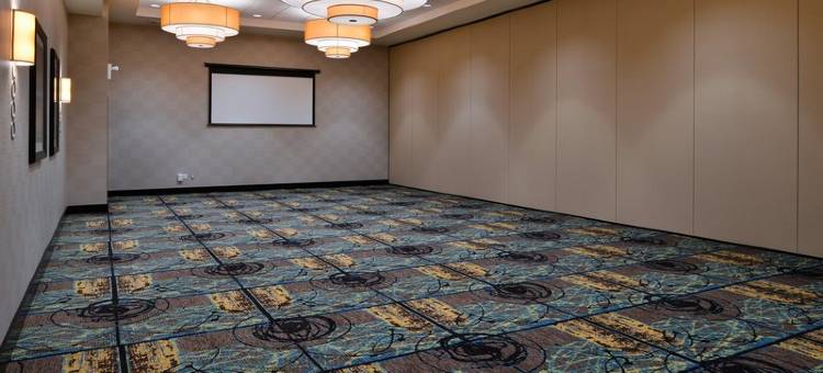 Holiday Inn & Suites 埃德蒙顿国际机场(Holiday Inn & Suites EDMONTON ARPT - CONFERENCE CTR by IHG)图片