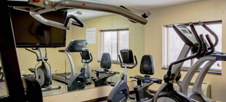 绍姆堡霍夫曼庄园舒适酒店(Comfort Inn Hoffman Estates - Schaumburg)图片