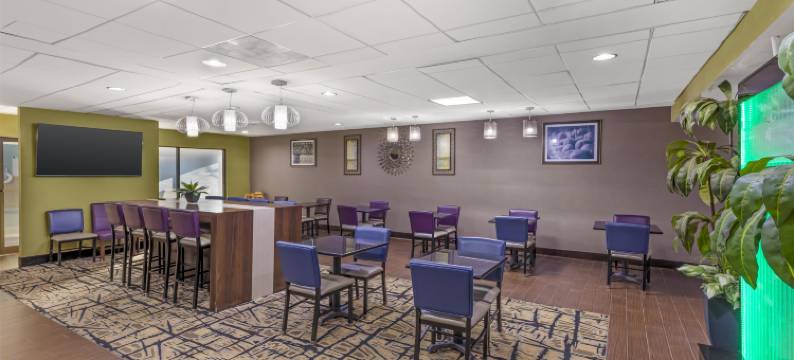 麦克多诺贝斯特韦斯特优质酒店及套房(Best Western Plus McDonough Inn  Suites)图片
