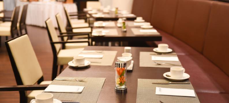 洲际酒店集团旗下的科特布斯假日酒店(Holiday Inn Cottbus by IHG)图片