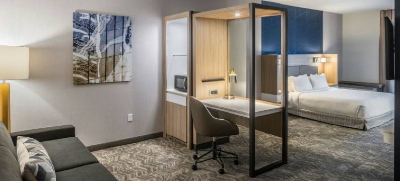 坎菲尔德春季山丘套房酒店(SpringHill Suites Canfield)图片