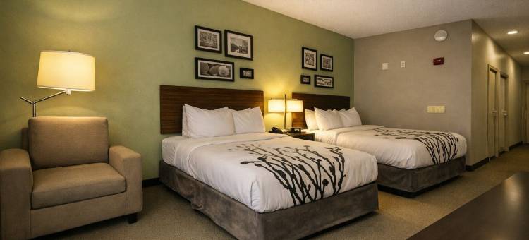 安眠套房酒店(Sleep Inn & Suites)图片